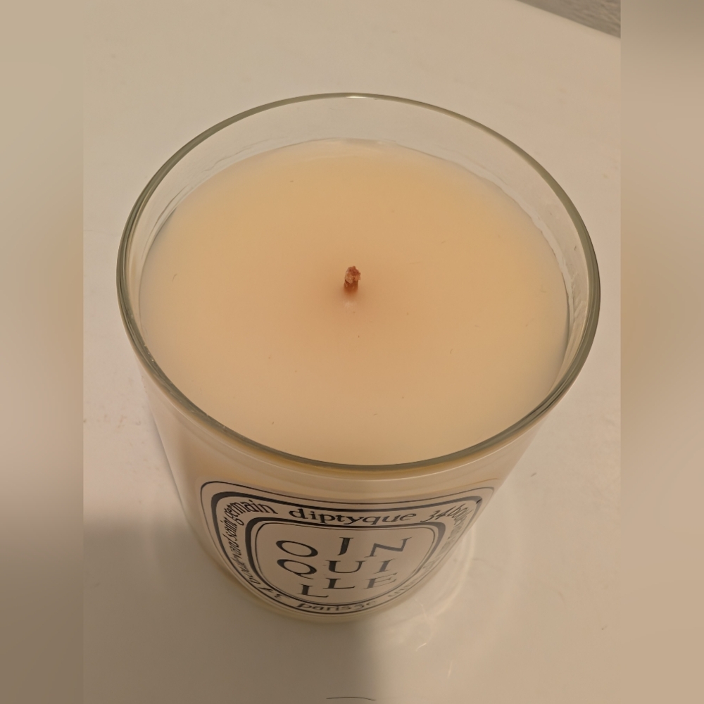 RARE Diptyque Jonquille (Daffodil) Candle - 190g - Discontinued - Picture 3 of 3
